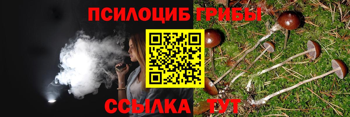 Протвино  Псилоцибиновые грибы Psilocybine cubensis  Вход с VPN 